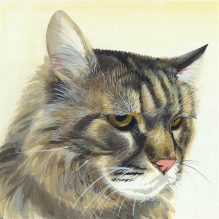 Hand Painted Watercolor from Photos - myDaVinci